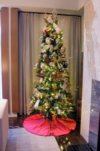 Sugarplum Dream Tree Skirt | Reversible Green & Pink Pattern